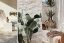<p>Rough textures, <strong>desert greens and pure white</strong> walls kissed by the sun. 🌵☀️ Would you choose a corner like this for your everyday escape?</p>